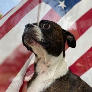 Meet your Posher, Cade